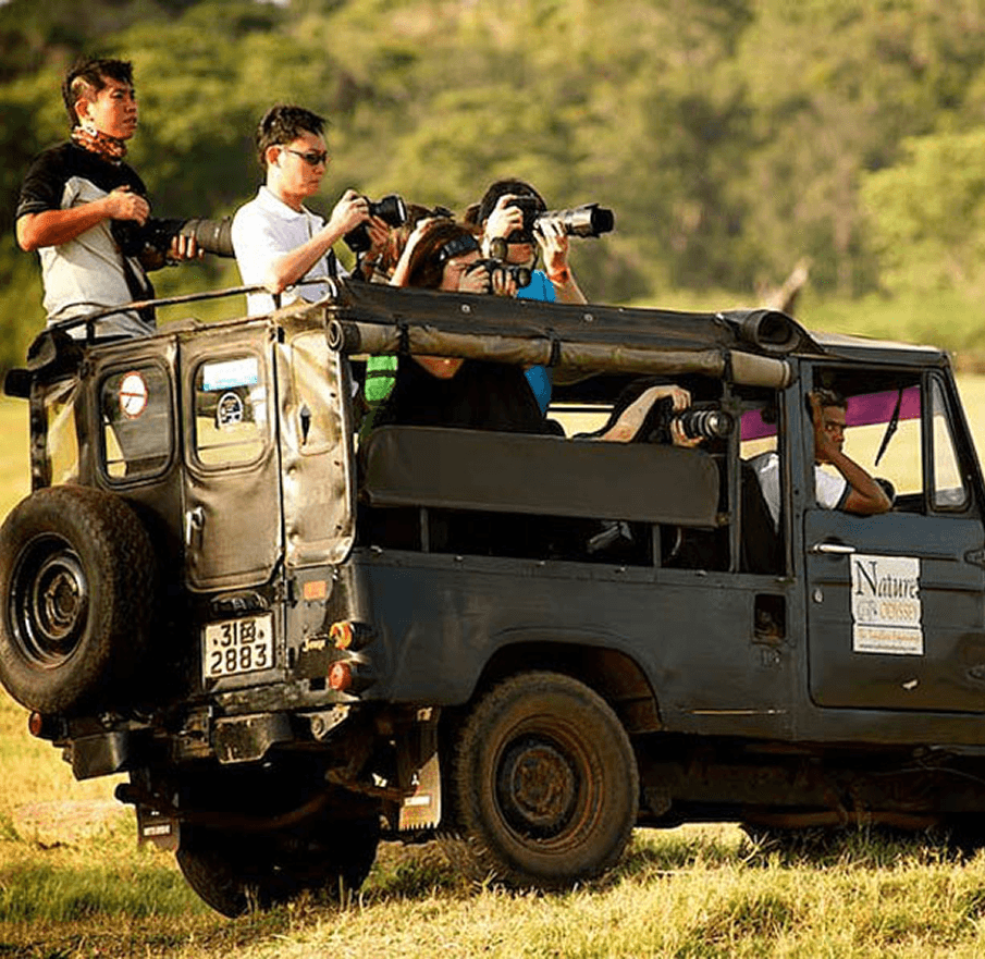 Safari jeep on a wildlife excursion